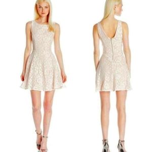 SPEECHLESS Glitter Lace Skater Dress Ivory Size 1